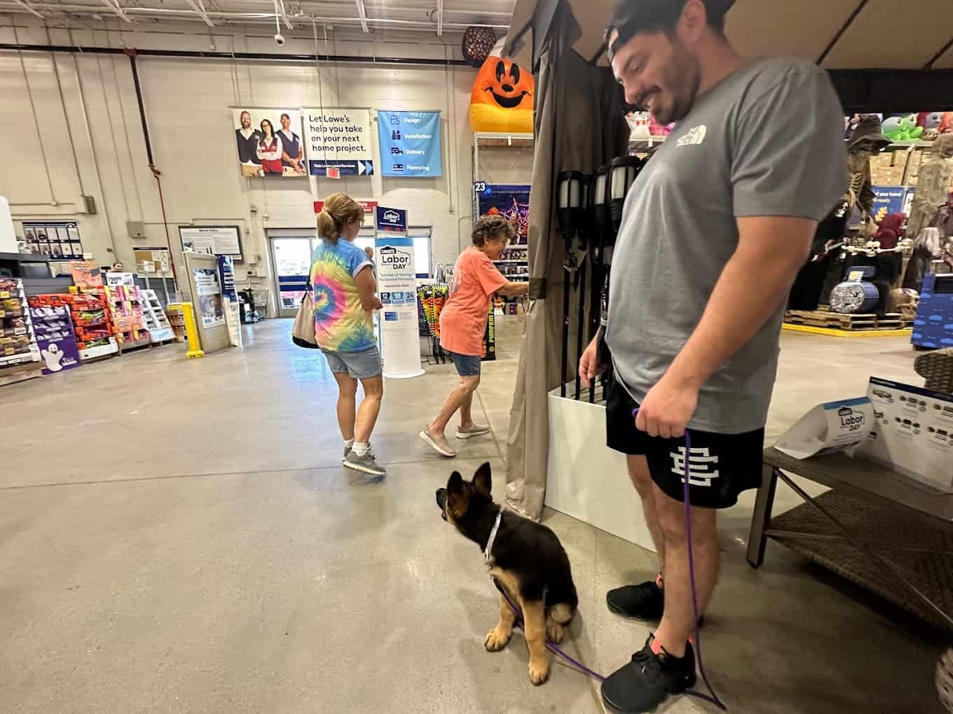 camp miracle paws anderson sc 10 Camp Miracle Paws - Dog Training, Boarding and Daycare in Anderson, SC