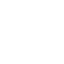 dog catching frisbee