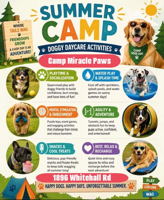 summer camp