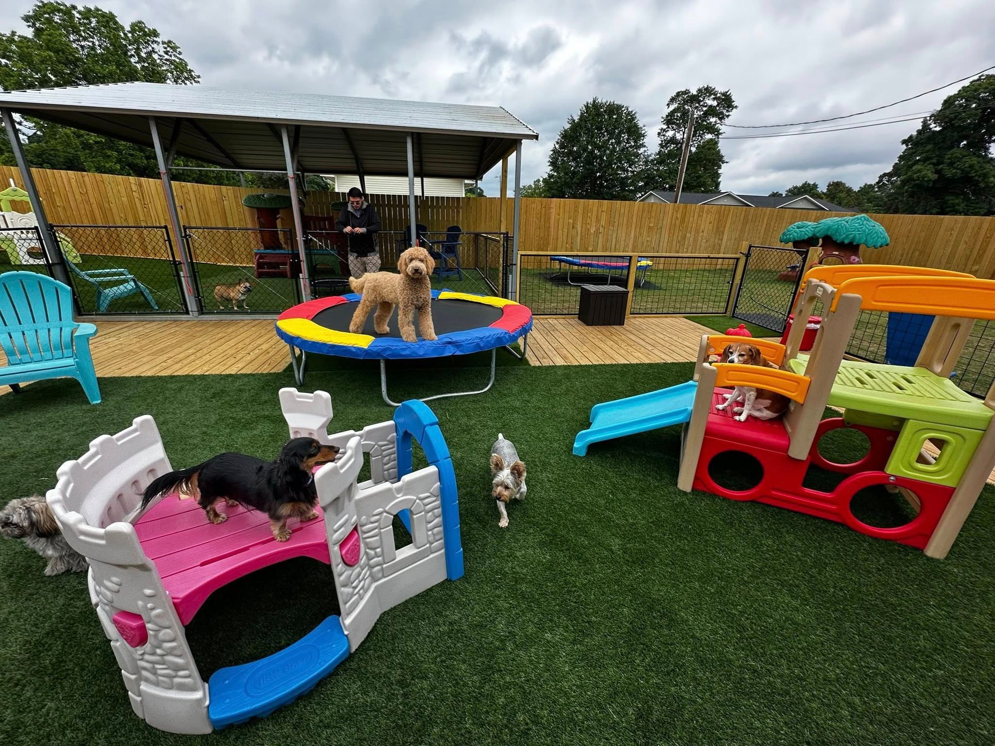 Camp Miracle Paws - Boarding and Dog Daycare in Anderson, SC Camp Miracle Paws - Boarding and Dog Daycare in Anderson, SC